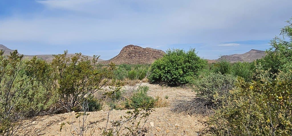 48.76 acres in Brewster County - photo 45