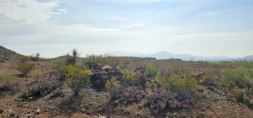 48.76 acres in Brewster County - photo 57