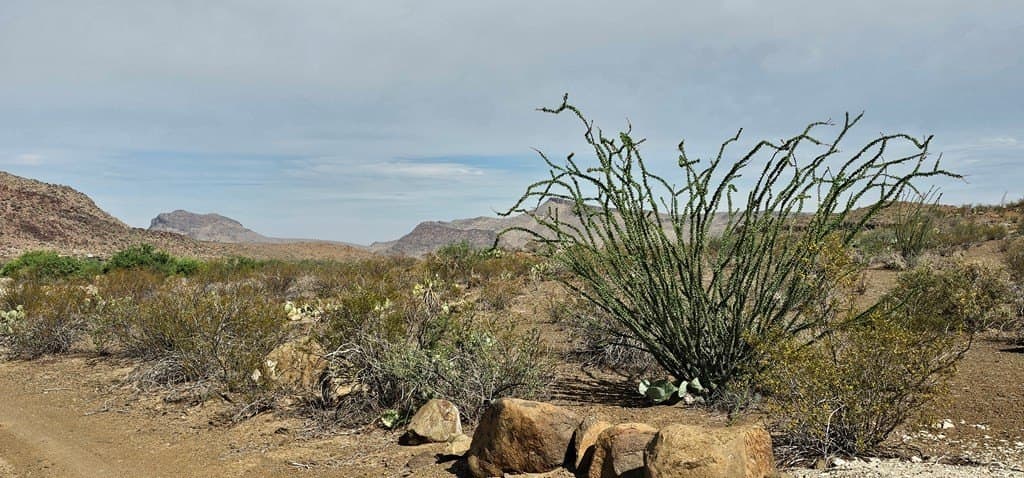 48.76 acres in Brewster County - photo 39