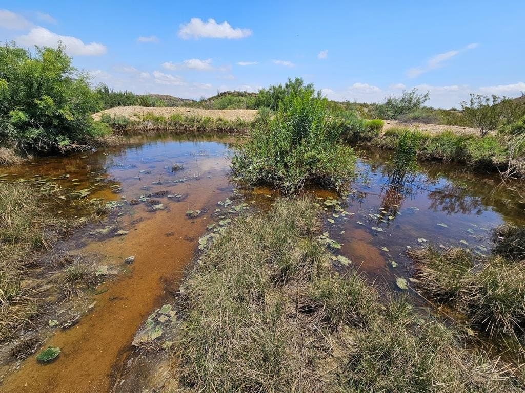 48.76 acres in Brewster County - photo 17