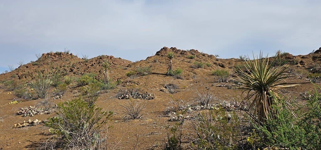 48.76 acres in Brewster County - photo 46