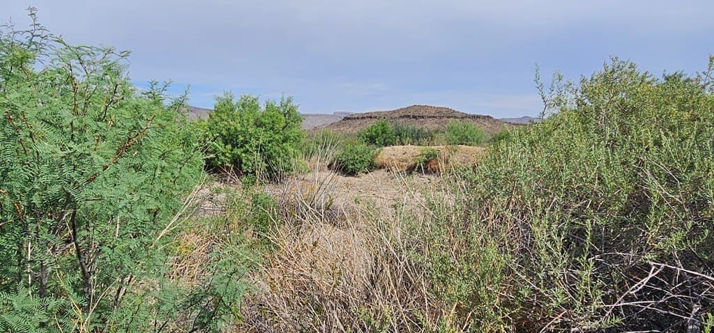 48.76 acres in Brewster County - photo 43