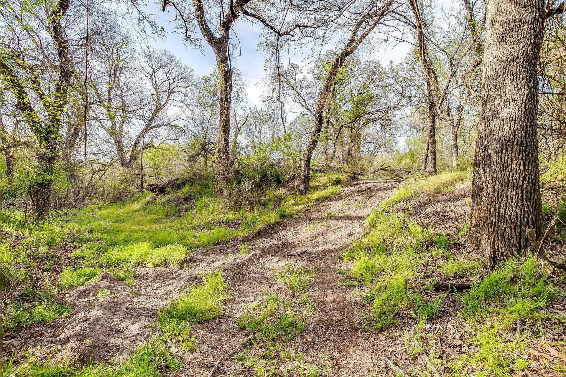 30.55 acres in Wise County - photo 24