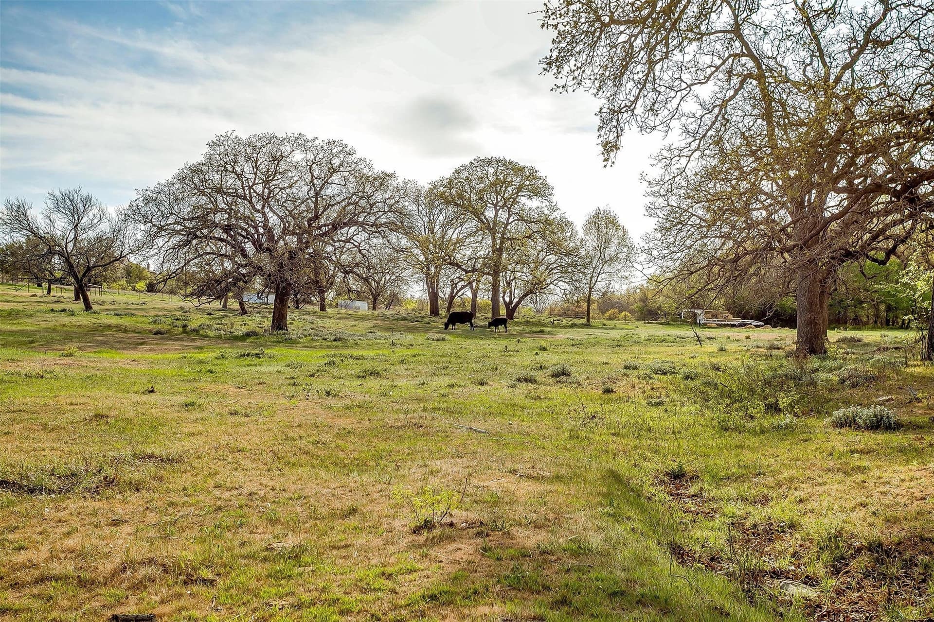30.55 acres in Wise County - photo 39