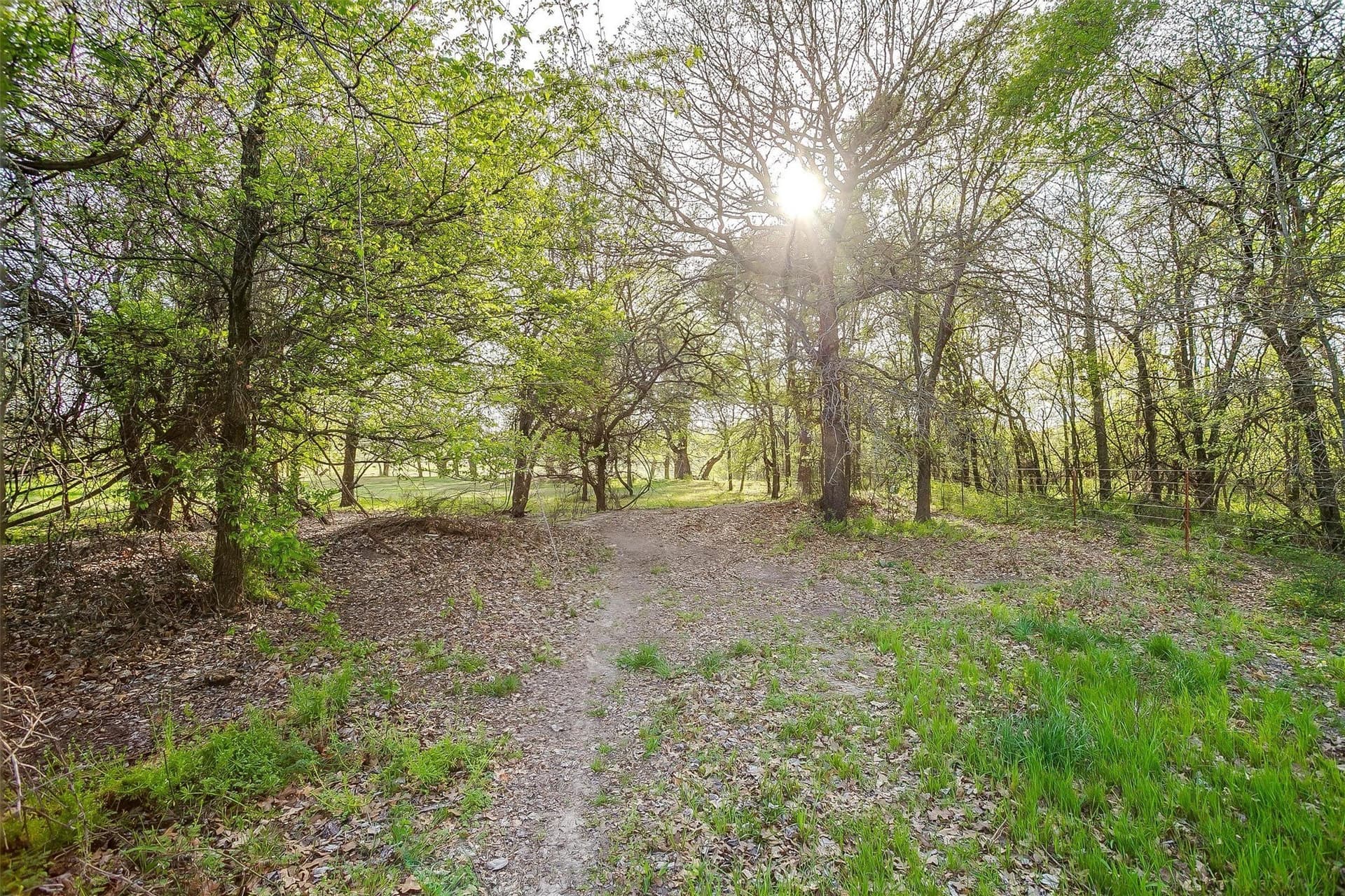 30.55 acres in Wise County - photo 38