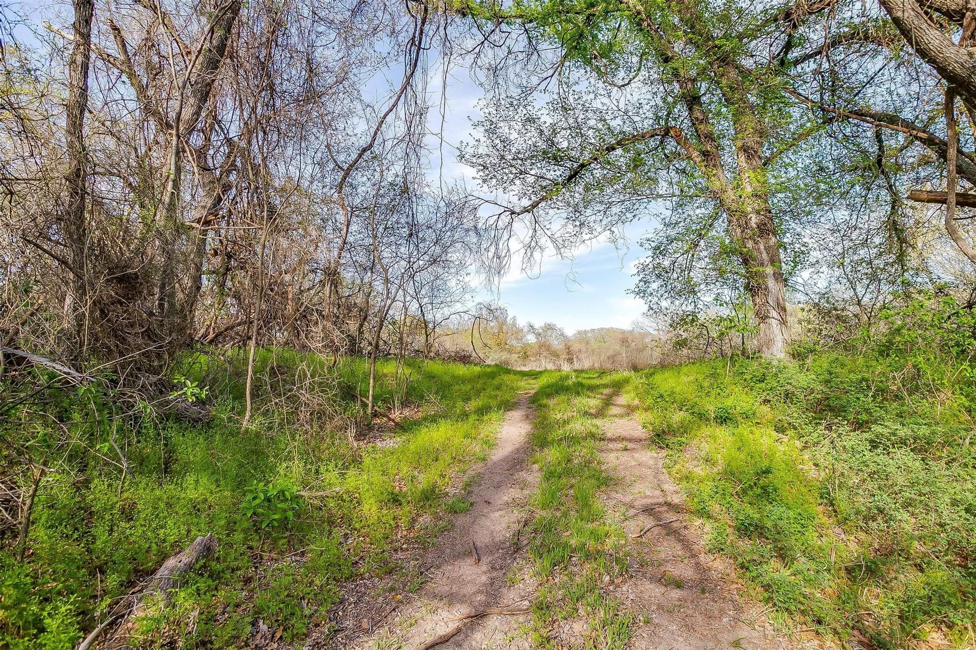 30.55 acres in Wise County - photo 27
