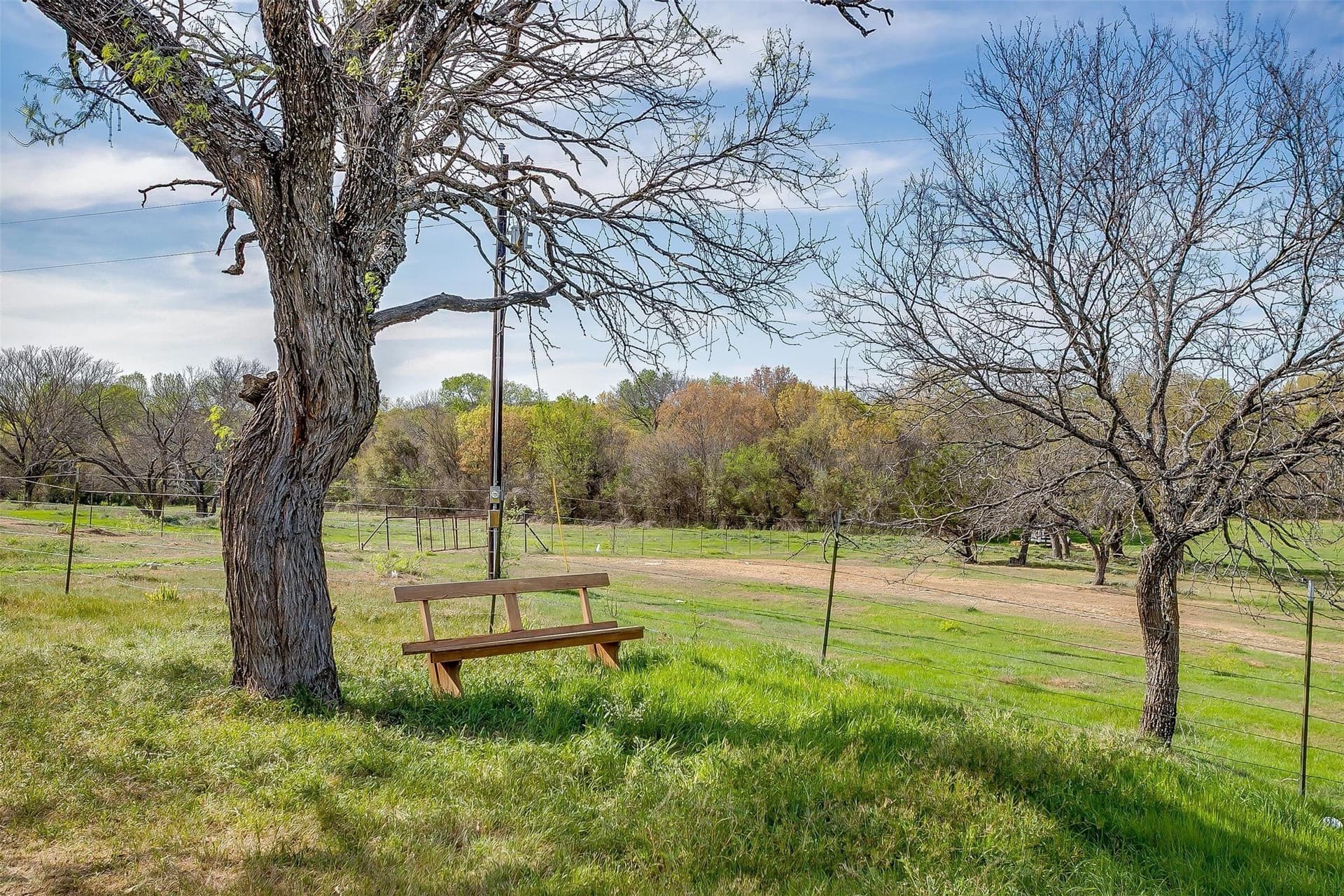 30.55 acres in Wise County - photo 20