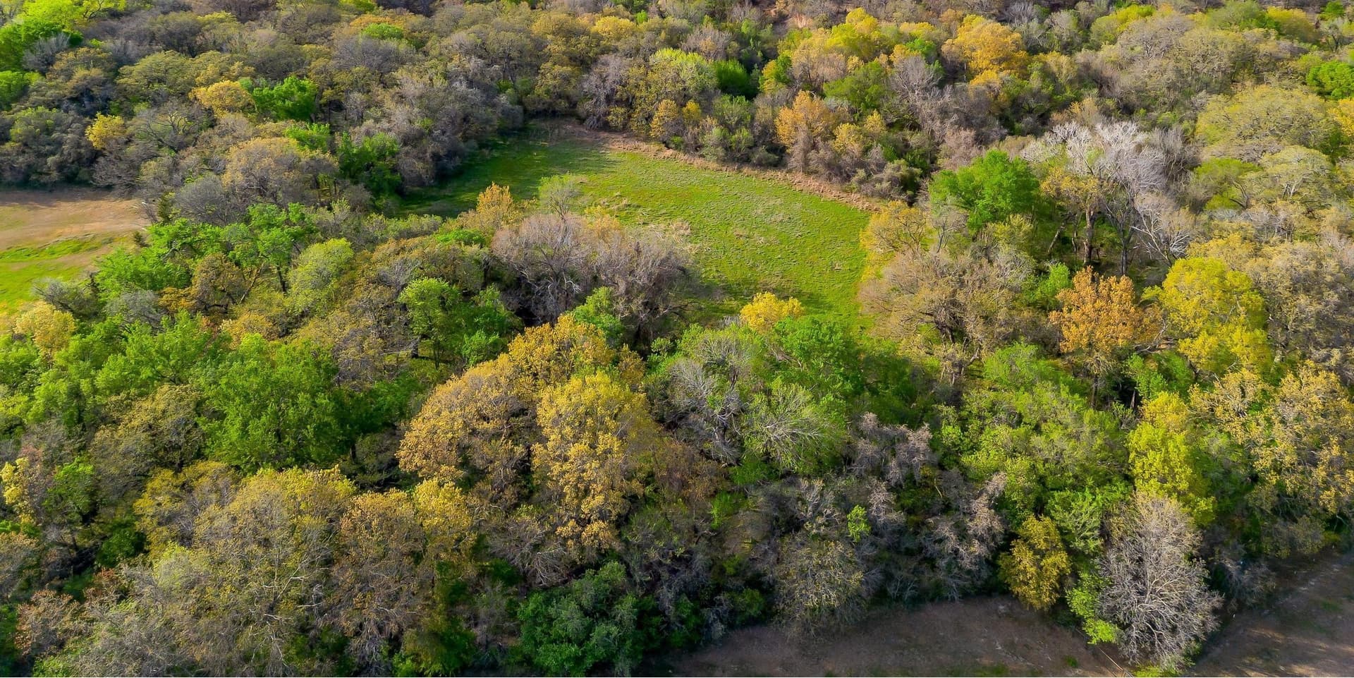 30.55 acres in Wise County - photo 29