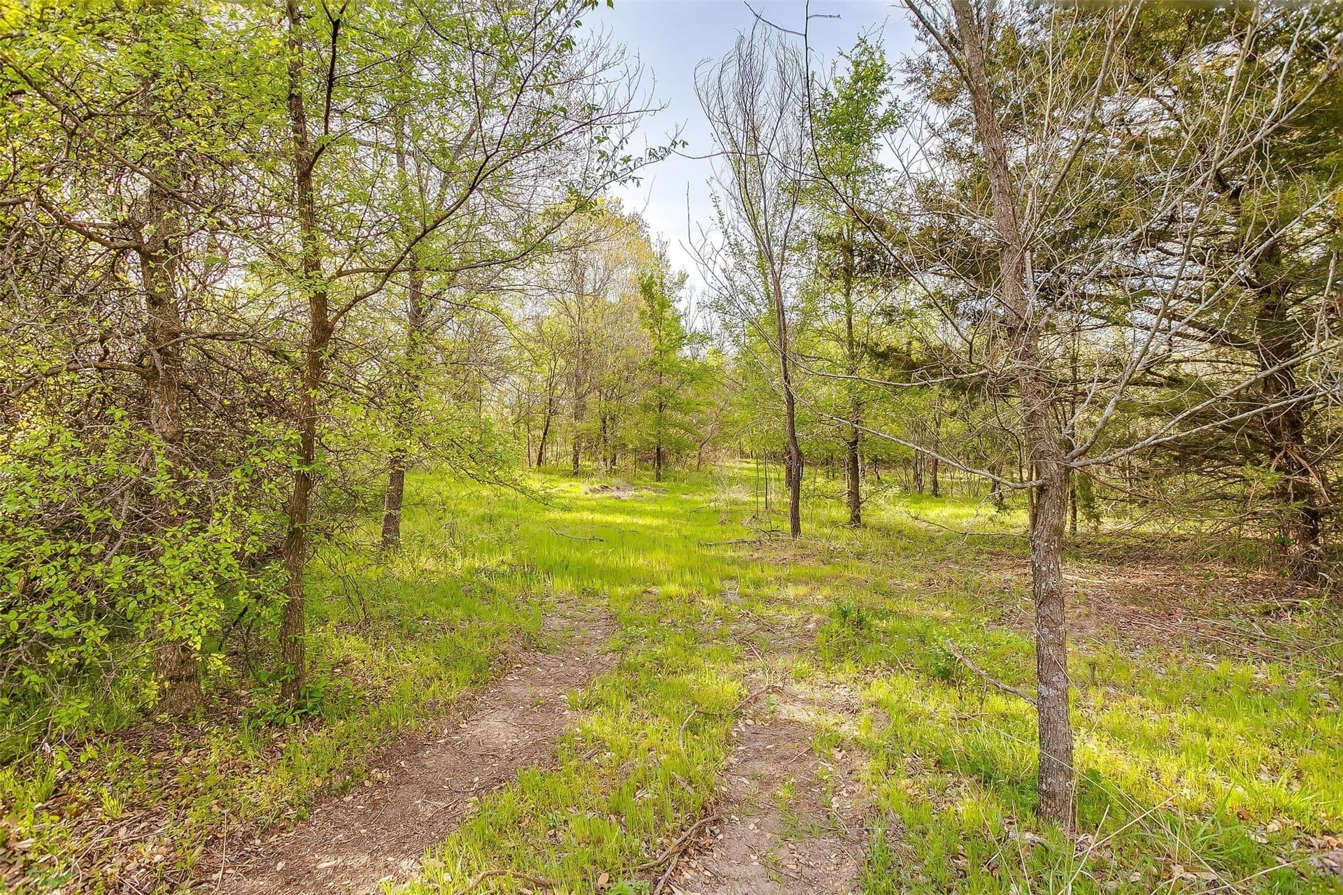 30.55 acres in Wise County - photo 37