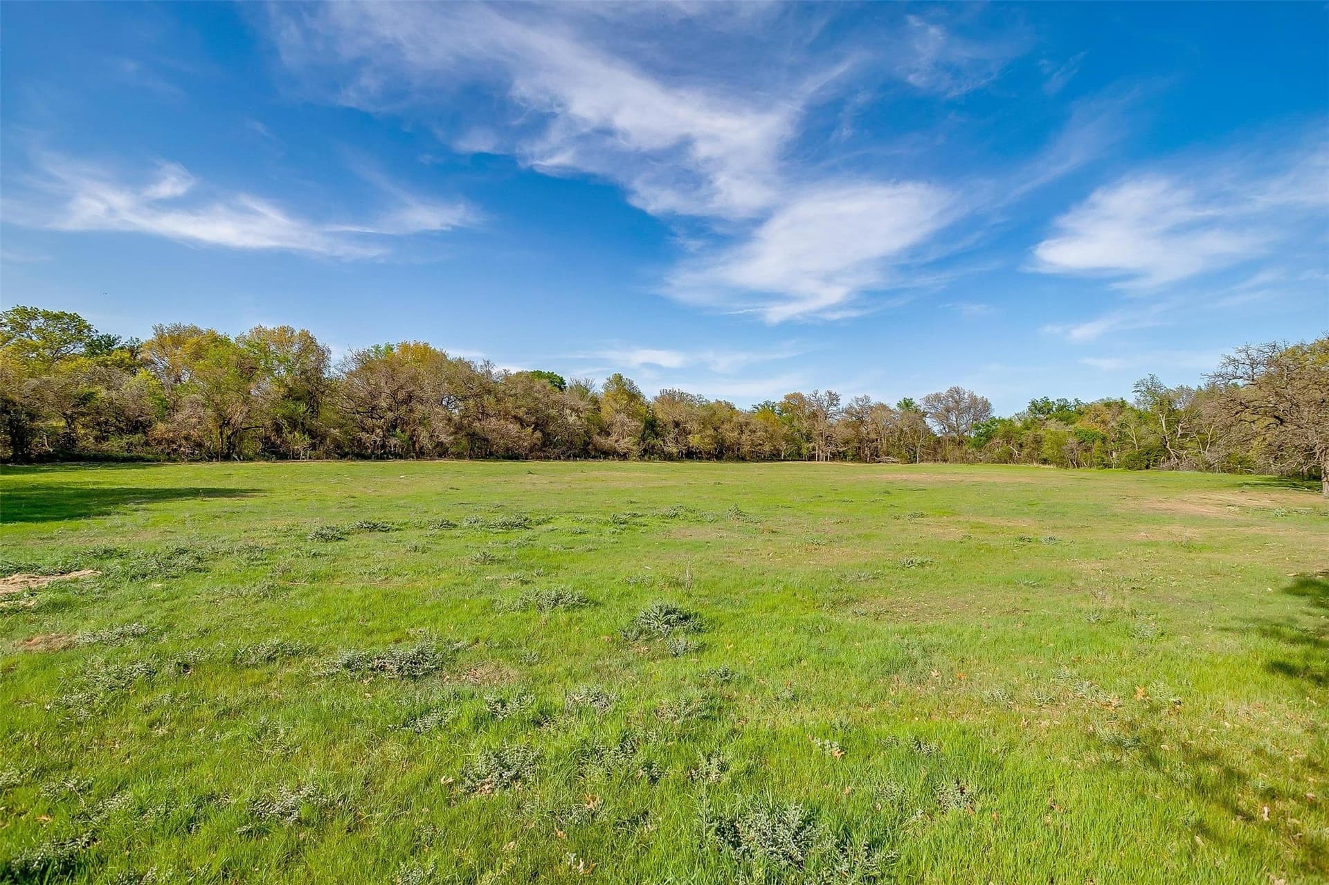 30.55 acres in Wise County - photo 32