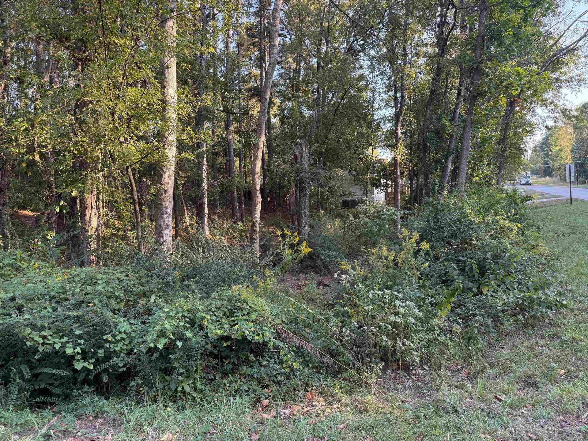 0.41 acres in Gregg County - photo 18