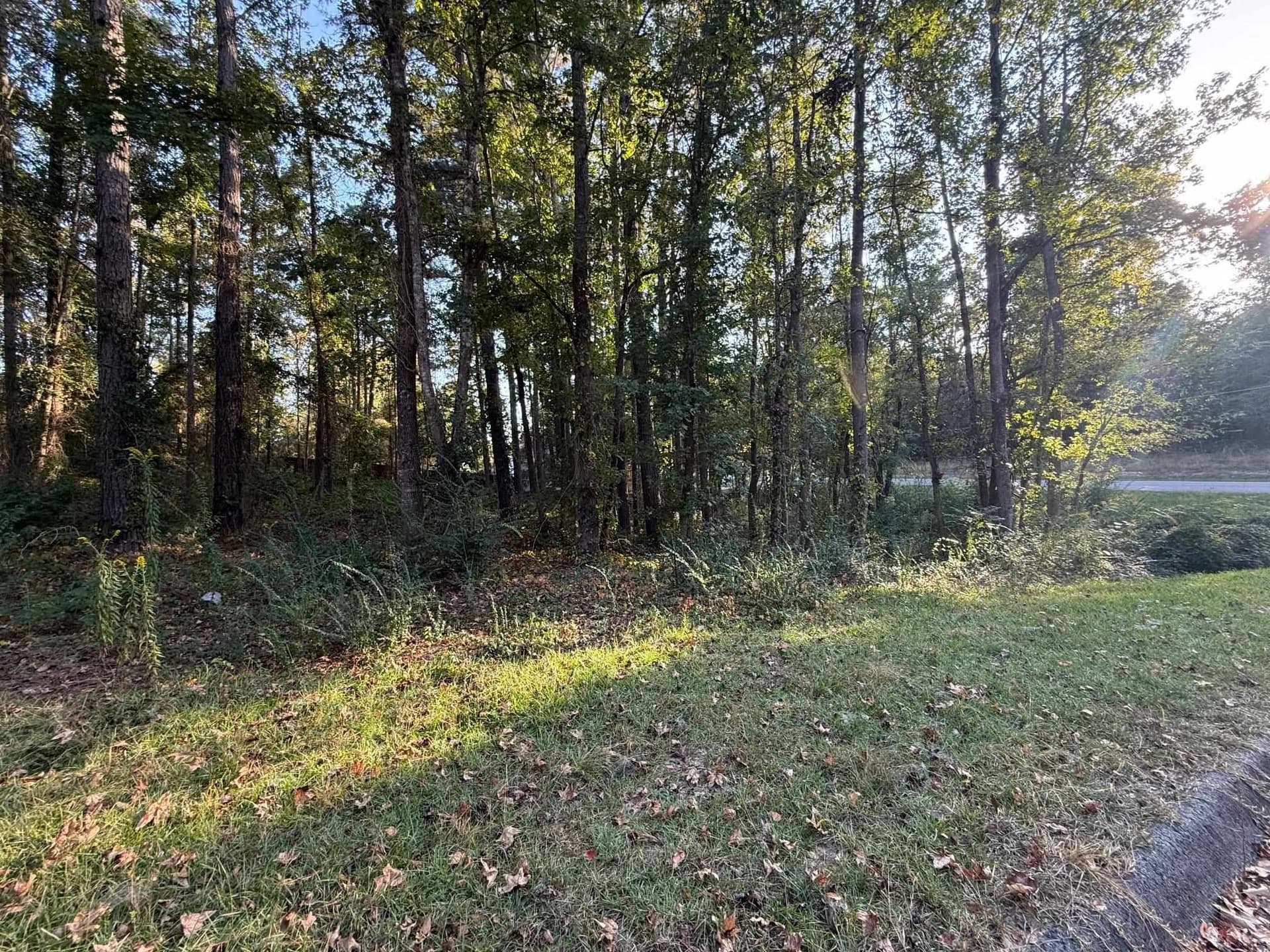 0.41 acres in Gregg County - photo 13