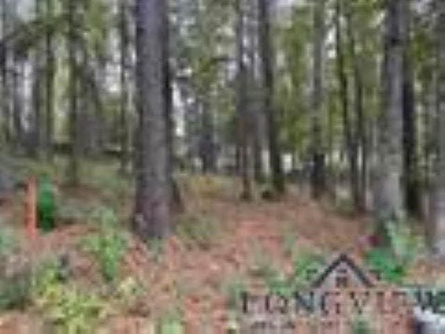 0.41 acres in Gregg County - photo 7