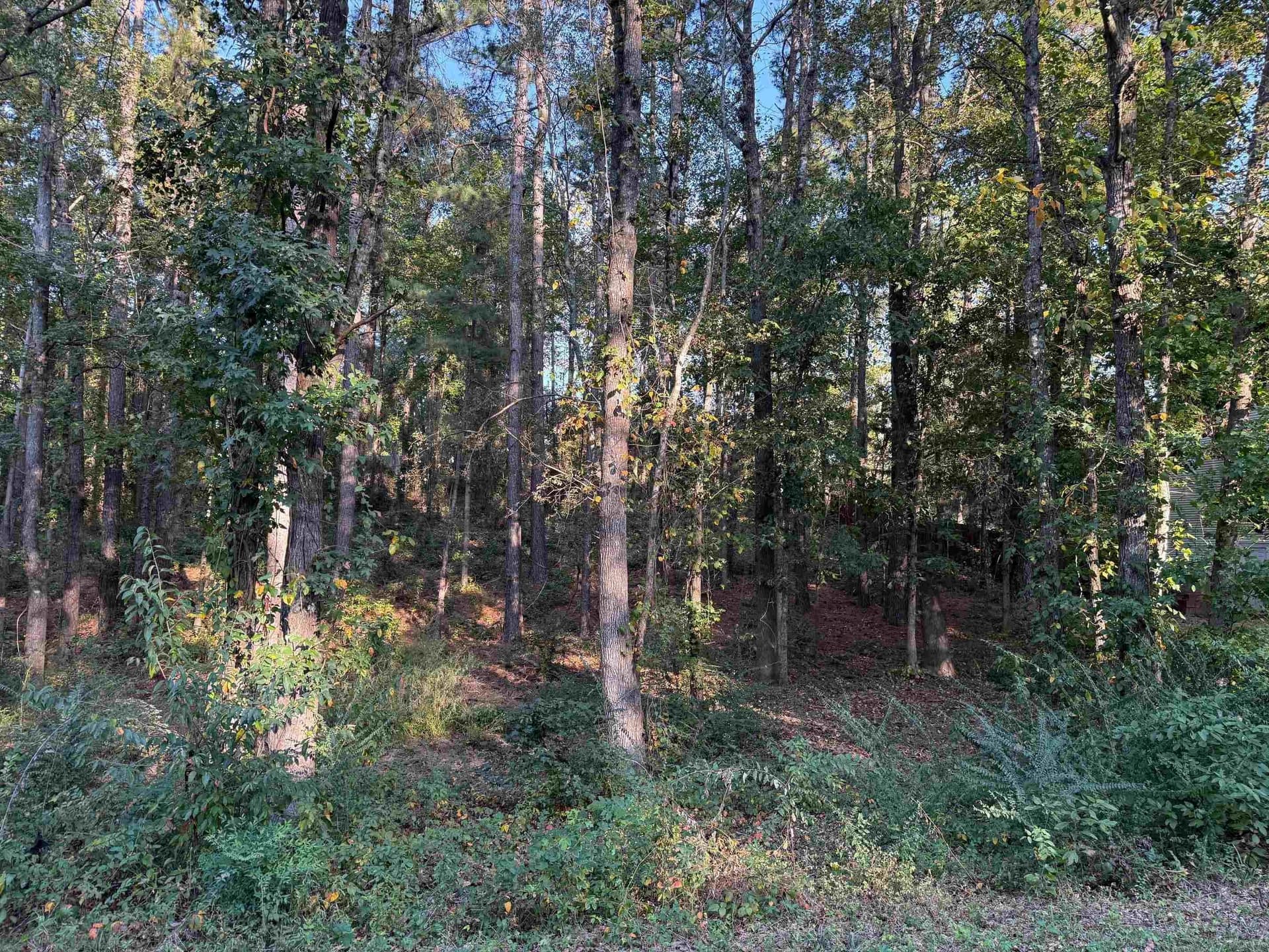 0.41 acres in Gregg County - photo 17
