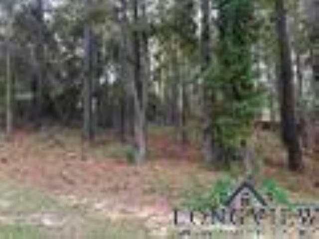 0.41 acres in Gregg County - photo 10