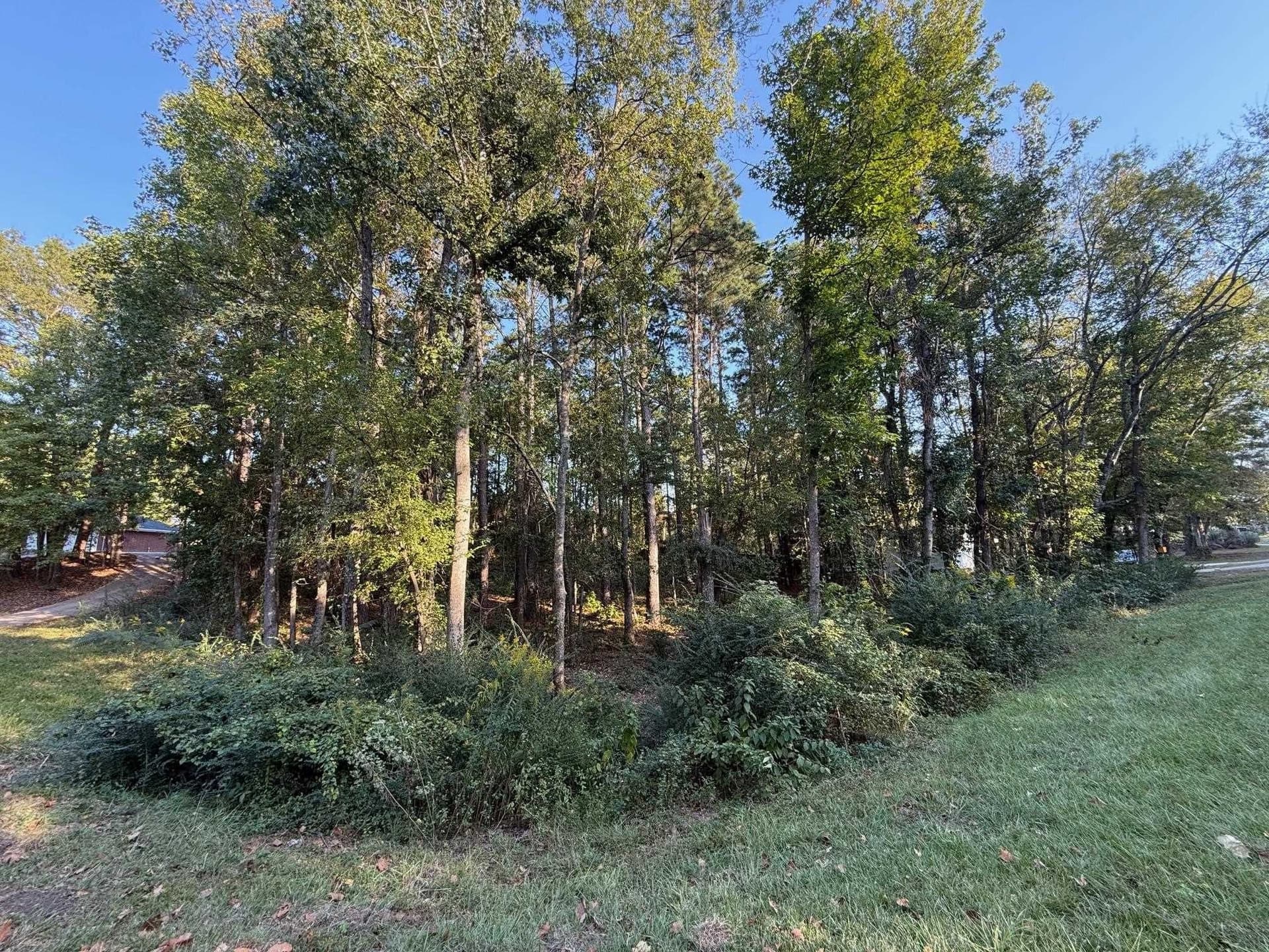 0.41 acres in Gregg County - photo 12
