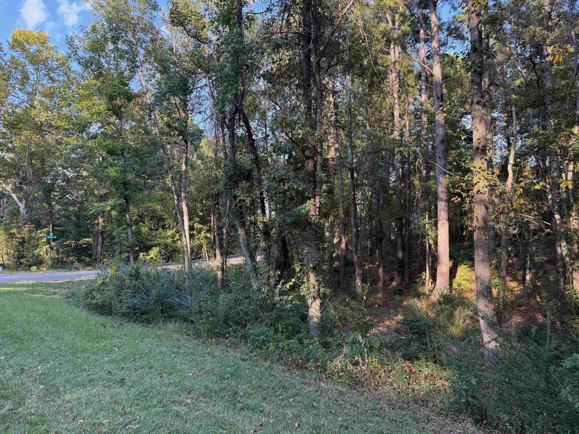 0.41 acres in Gregg County - photo 16