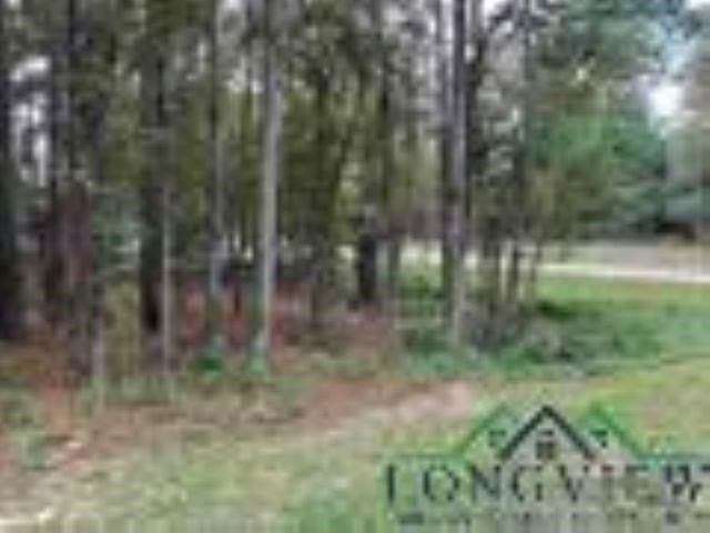 0.41 acres in Gregg County - photo 9