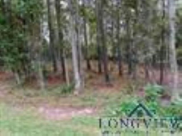0.41 acres in Gregg County - photo 11