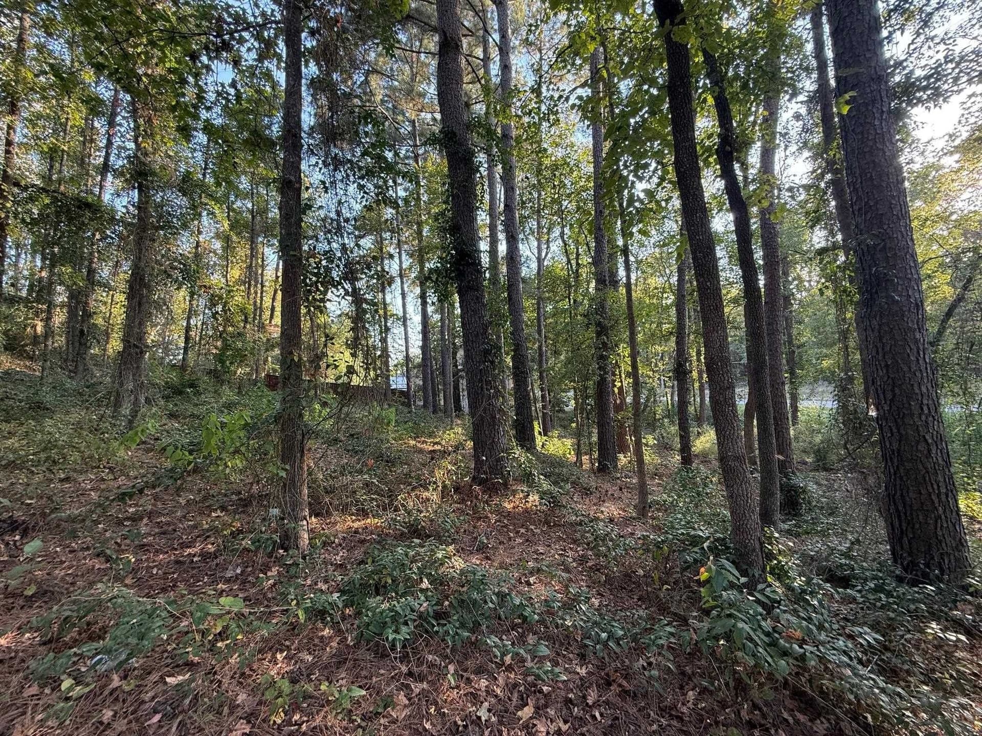 0.41 acres in Gregg County - photo 14