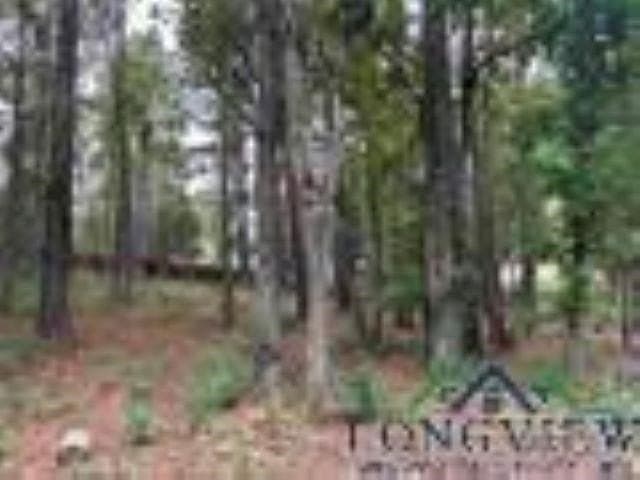 0.41 acres in Gregg County - photo 8