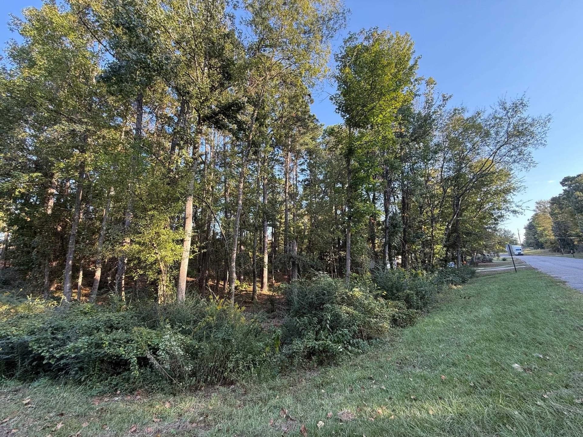 0.41 acres in Gregg County gallery image 4