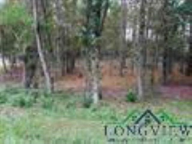 0.41 acres in Gregg County - photo 6