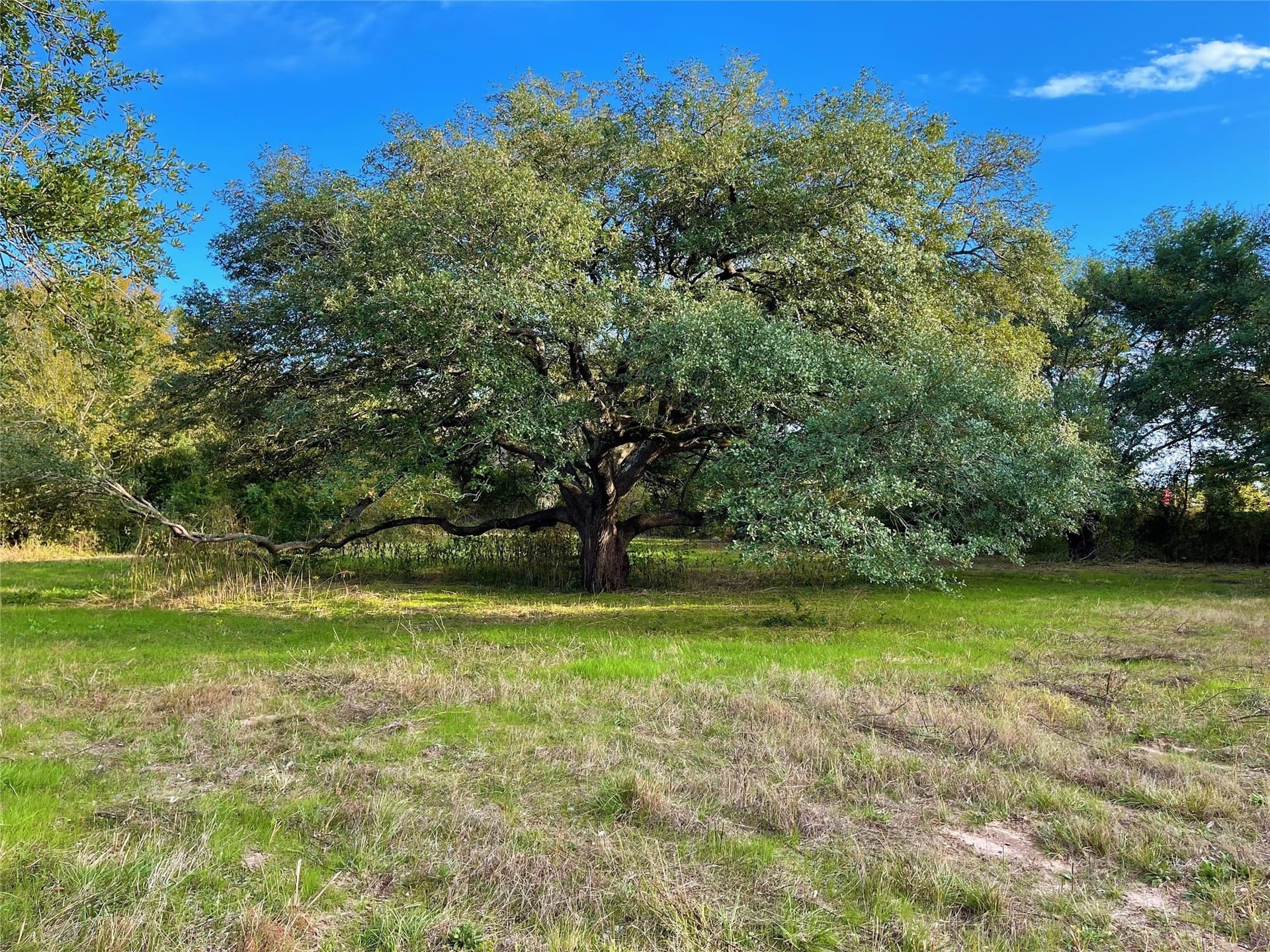2.77 acres in Freestone County - photo 6