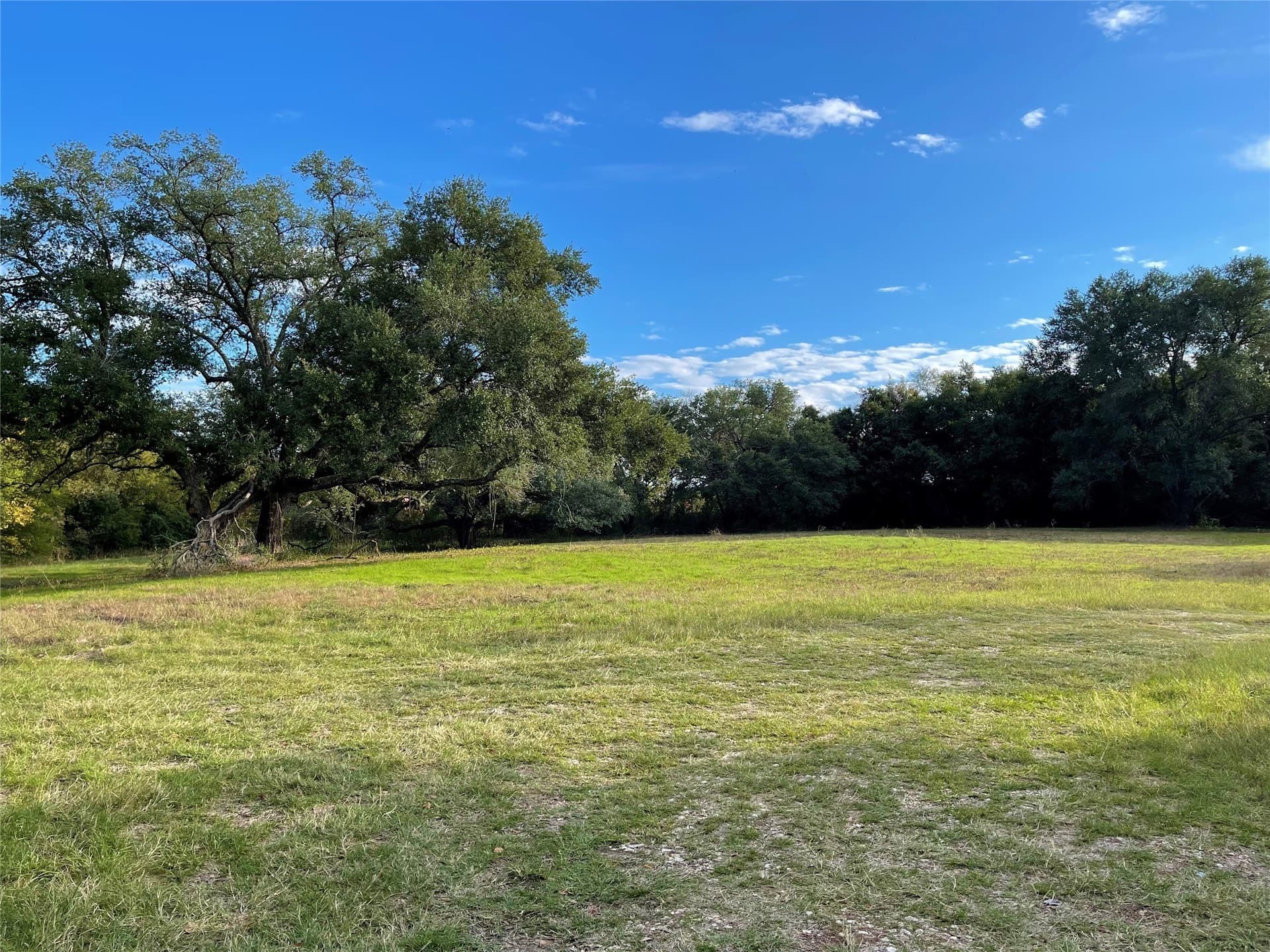 2.77 acres in Freestone County - photo 7