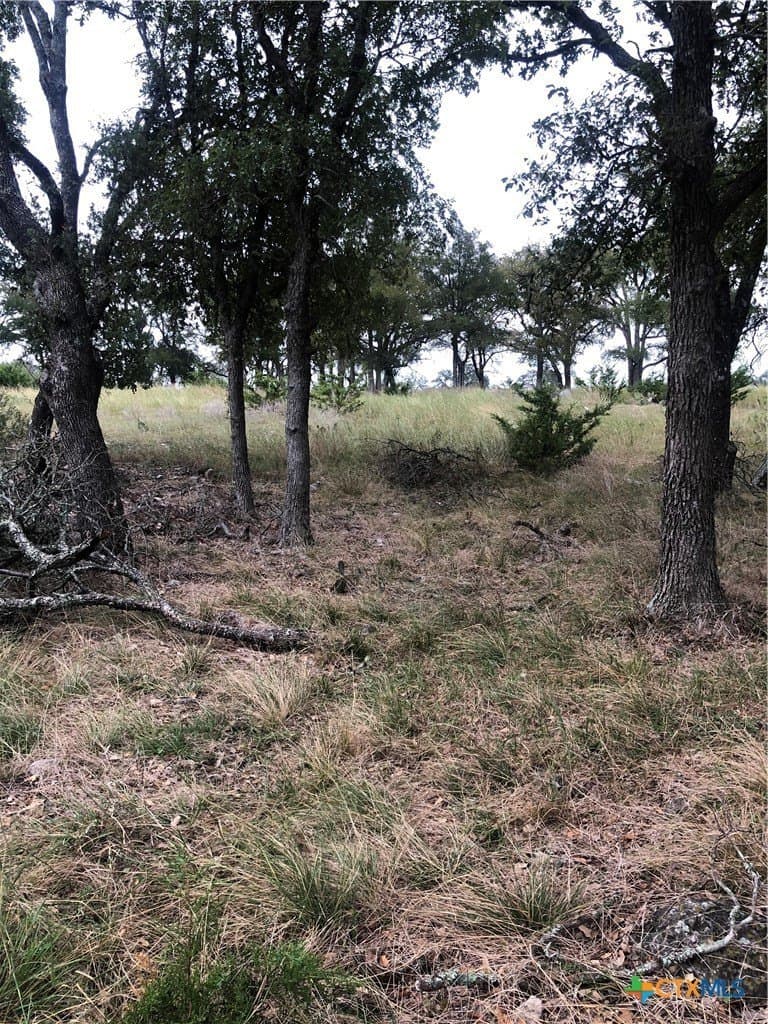2.51 acres in Gillespie County featured view