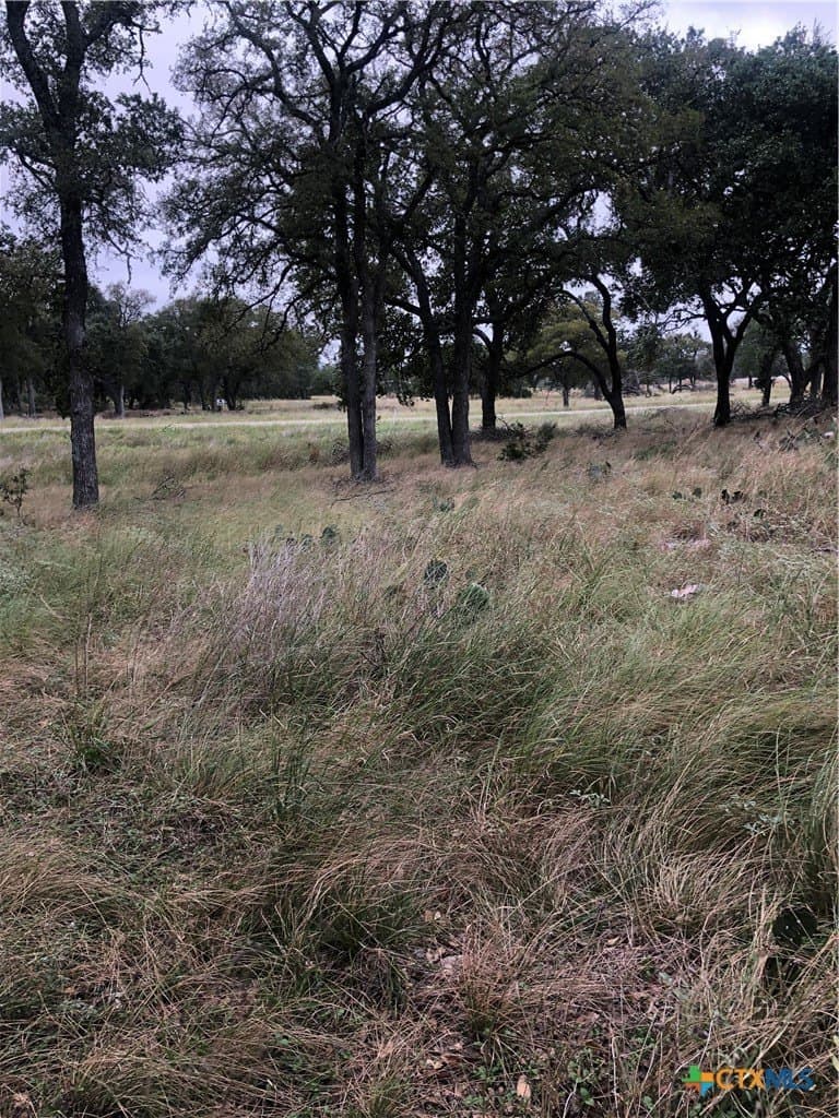 2.51 acres in Gillespie County gallery image 2