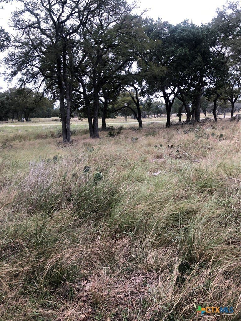 2.51 acres in Gillespie County gallery image 4