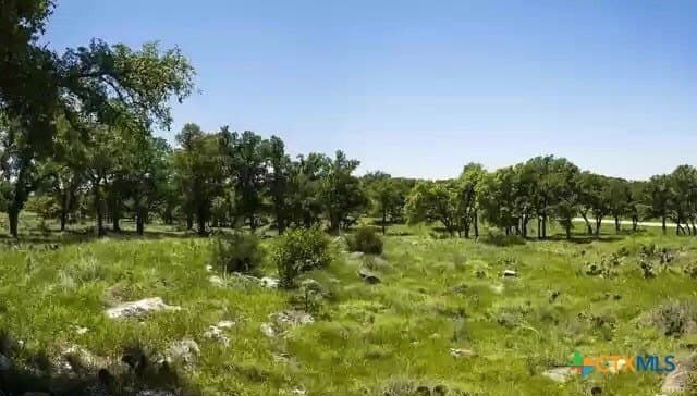 2.51 acres in Gillespie County - photo 7