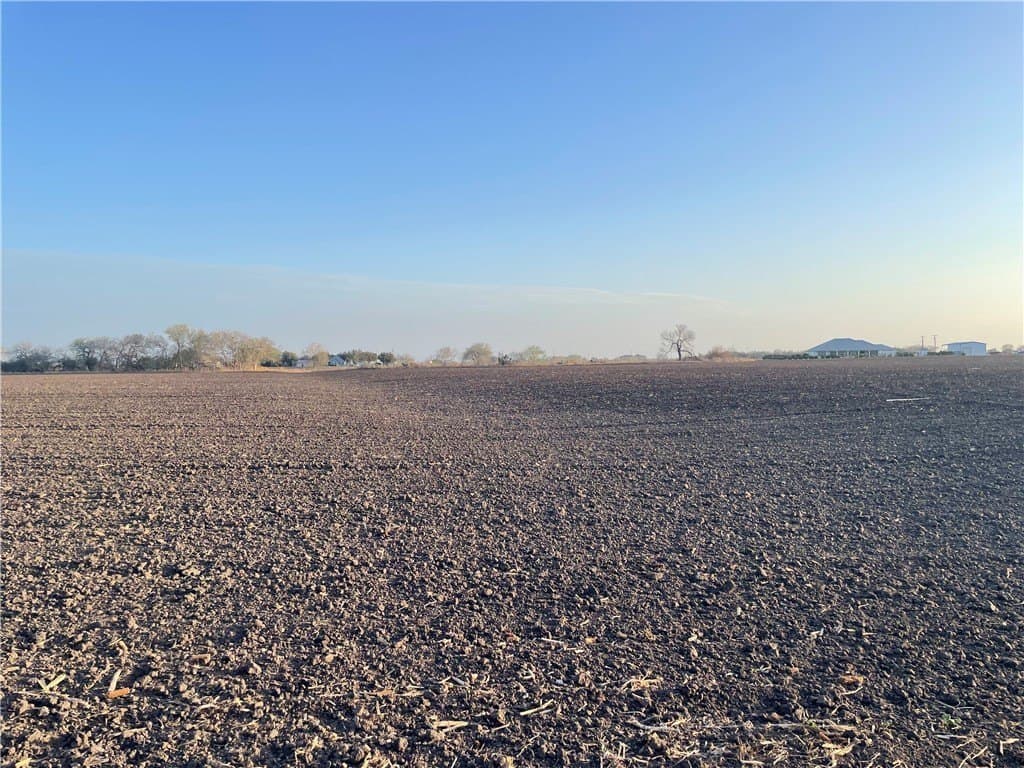 7.5 acres in San Patricio County gallery image 3