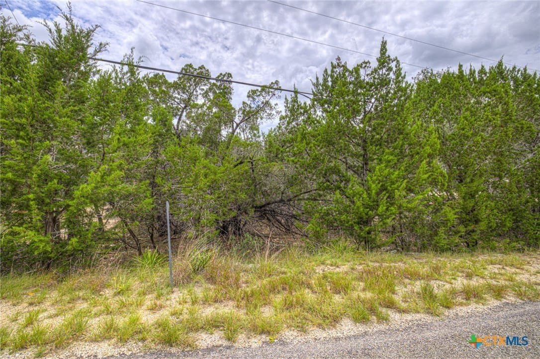 0.24 acres in Comal County - photo 7