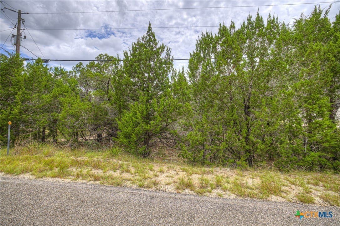 0.24 acres in Comal County - photo 6