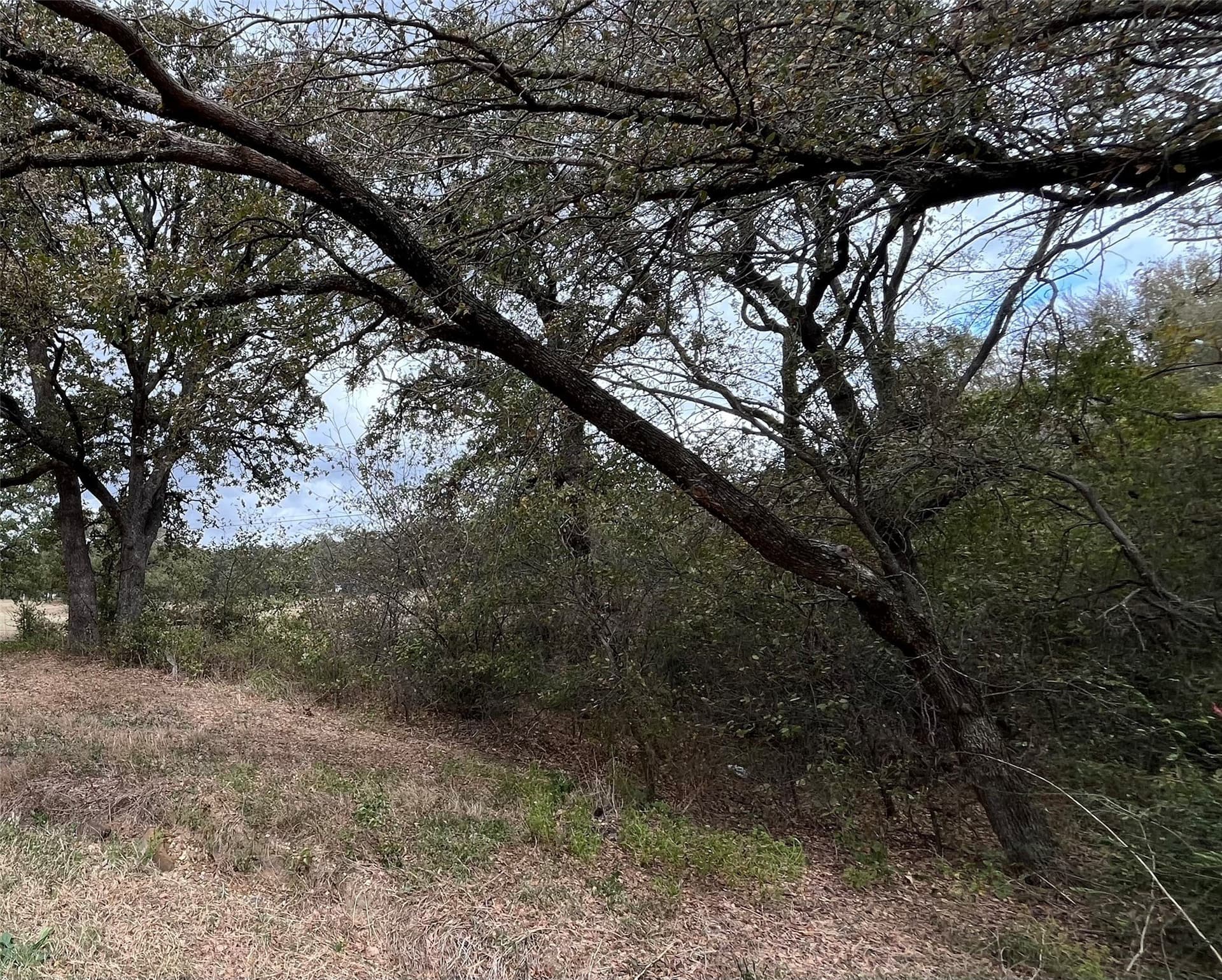 4 acres in Johnson County - photo 8