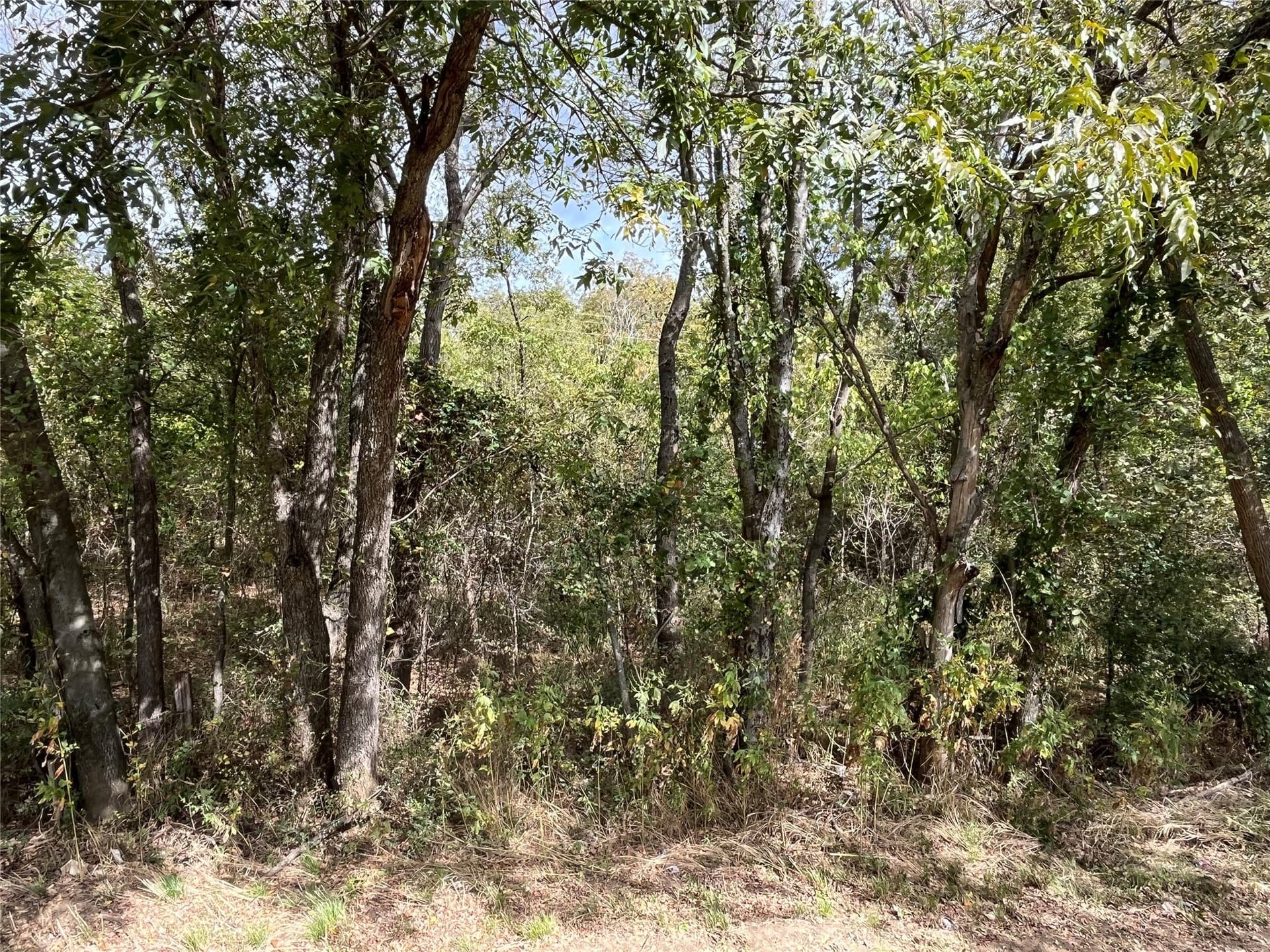 4 acres in Johnson County - photo 10