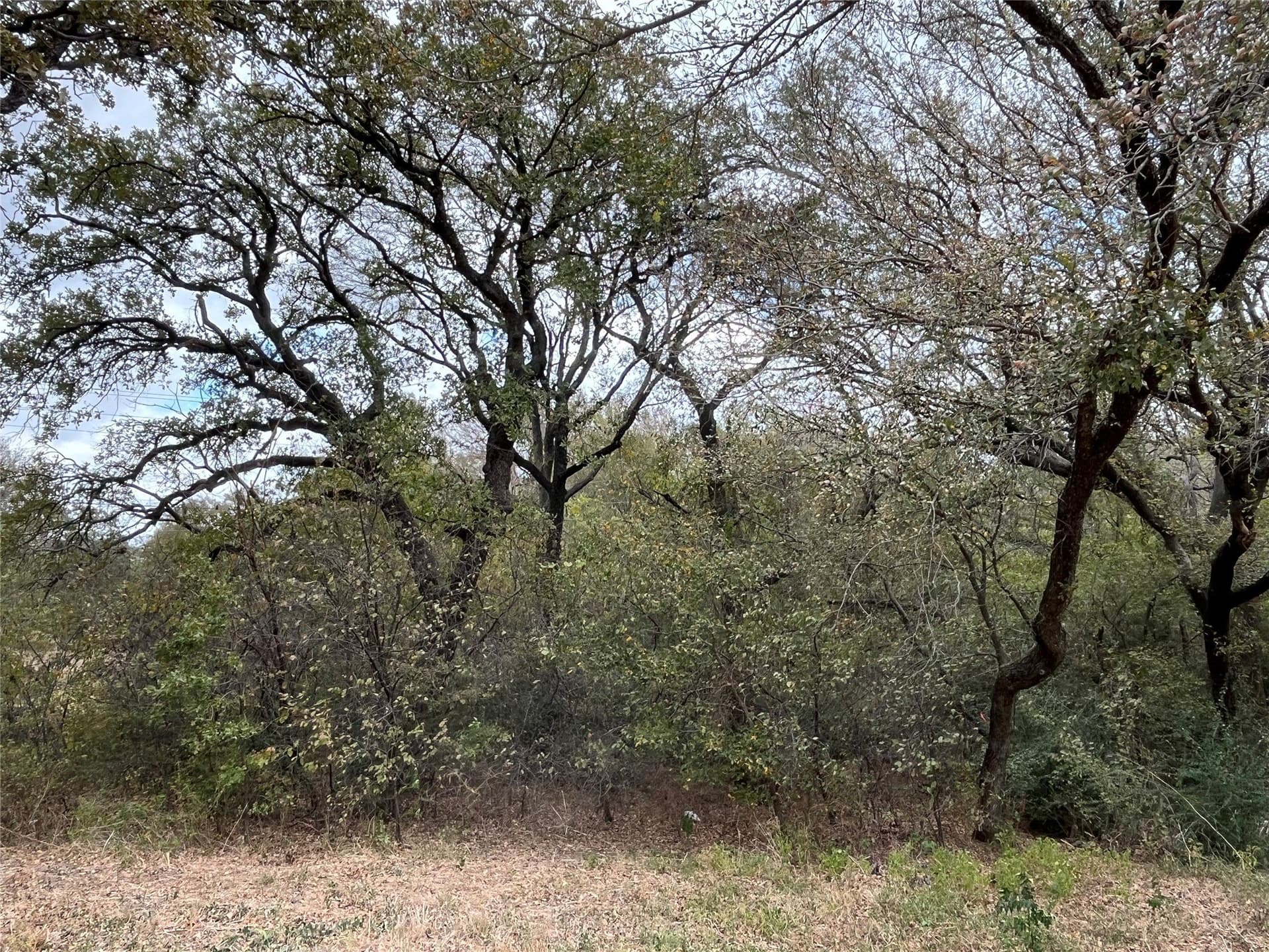 4 acres in Johnson County - photo 7