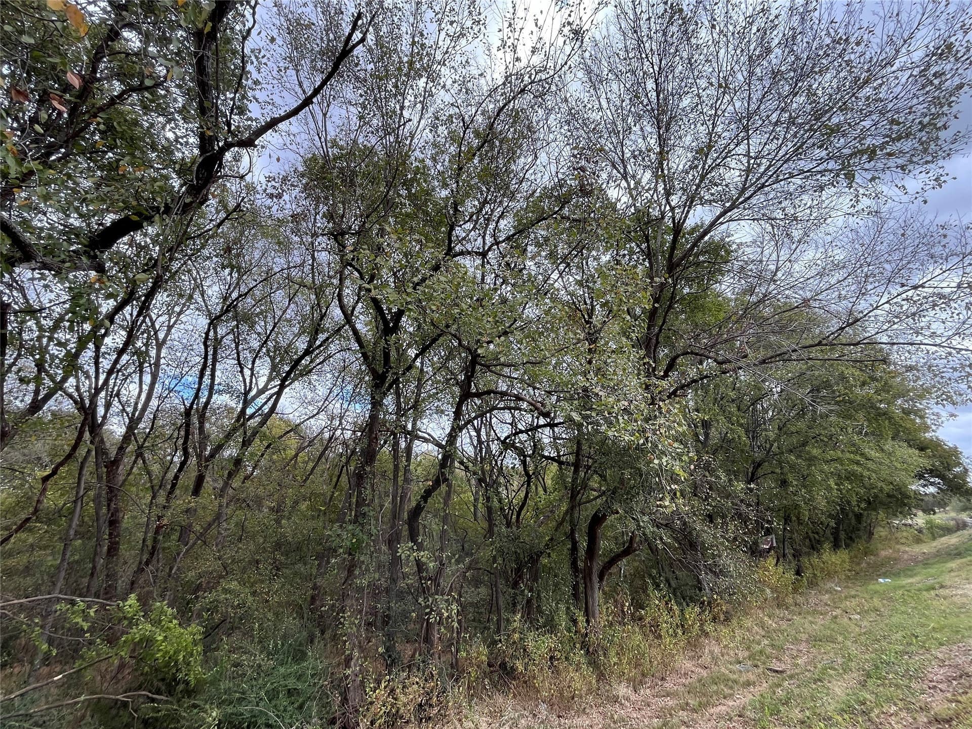 4 acres in Johnson County - photo 9