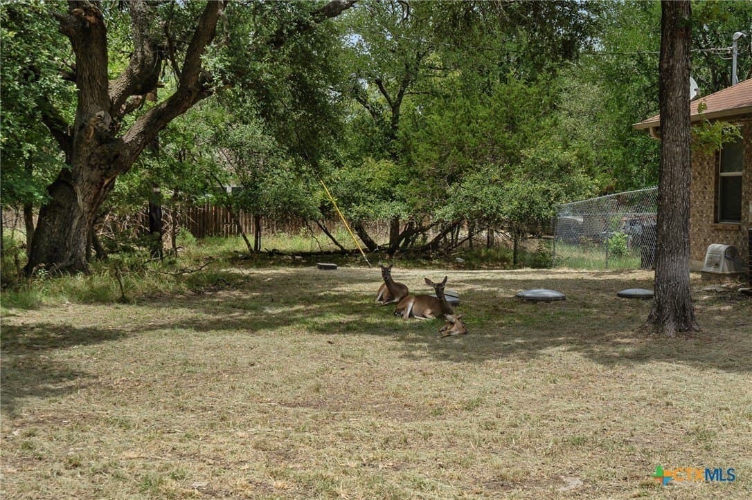 0.2 acres in Bell County gallery image 3