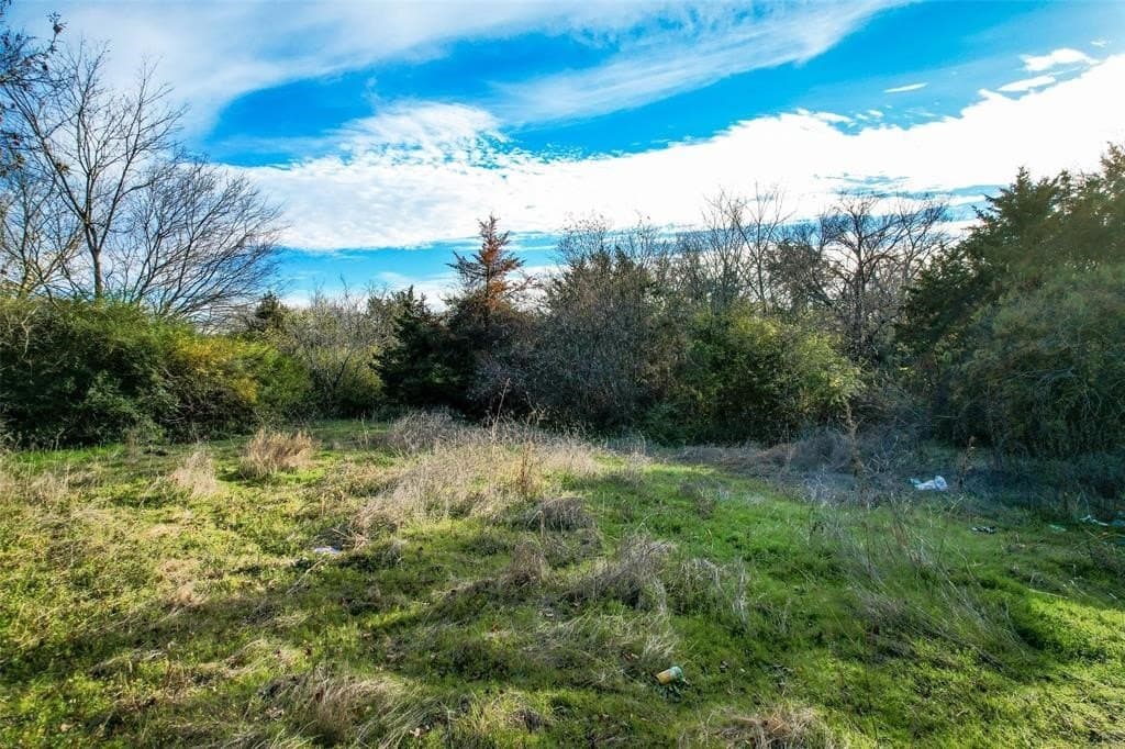1.11 acres in Dallas County gallery image 4