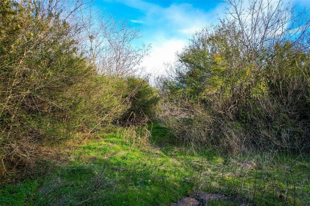 1.11 acres in Dallas County gallery image 3