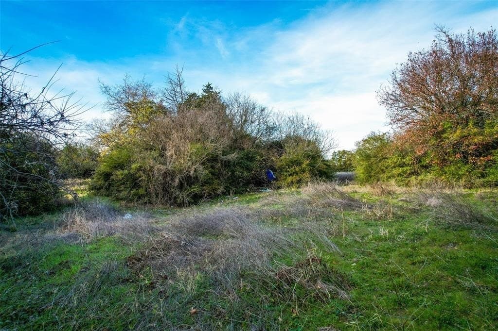 1.11 acres in Dallas County gallery image 2