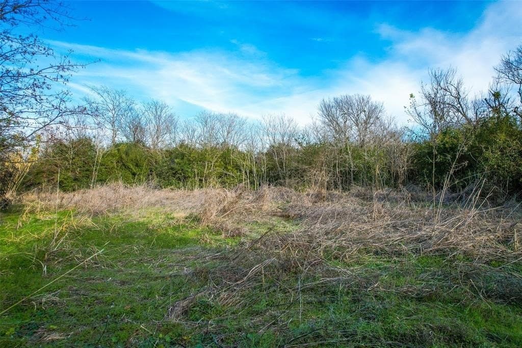1.11 acres in Dallas County - photo 6