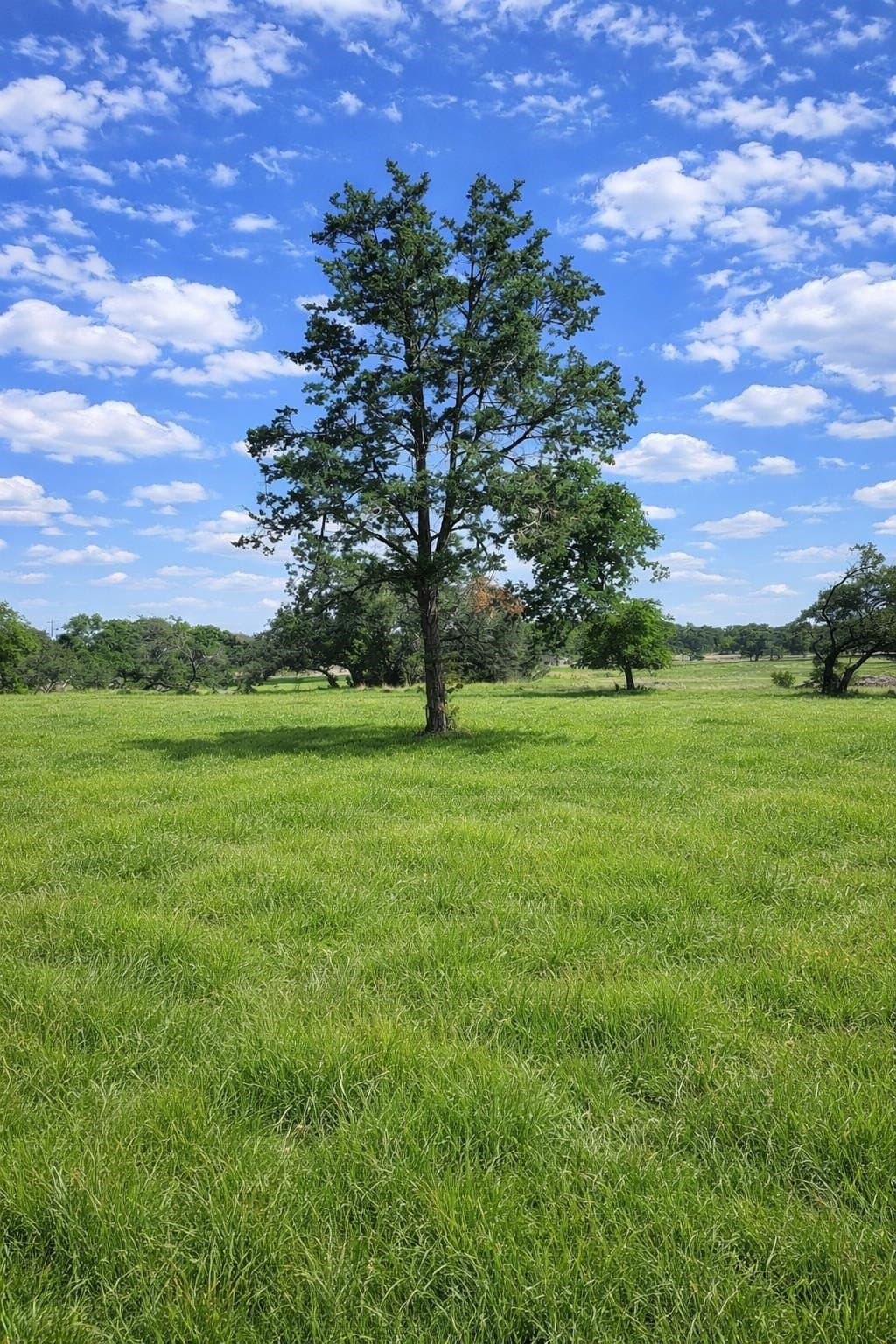109.76 acres in Burnet County - photo 6
