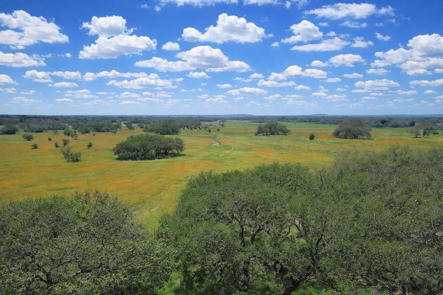 109.76 acres in Burnet County gallery image 4