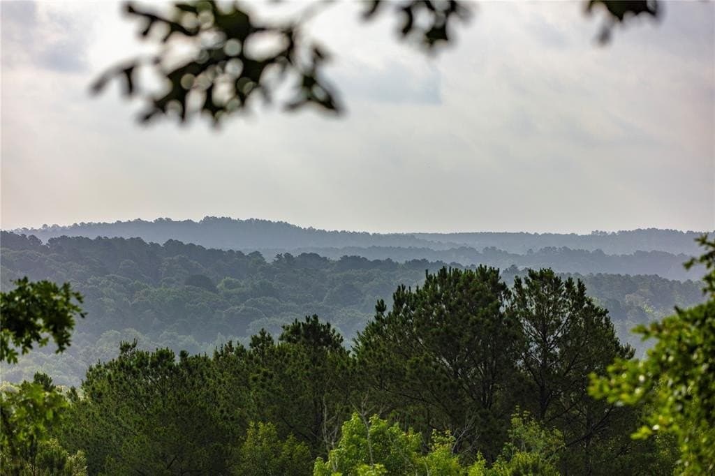 590 acres in Henderson County gallery image 2