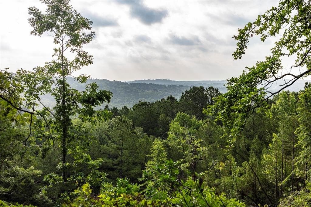 590 acres in Henderson County