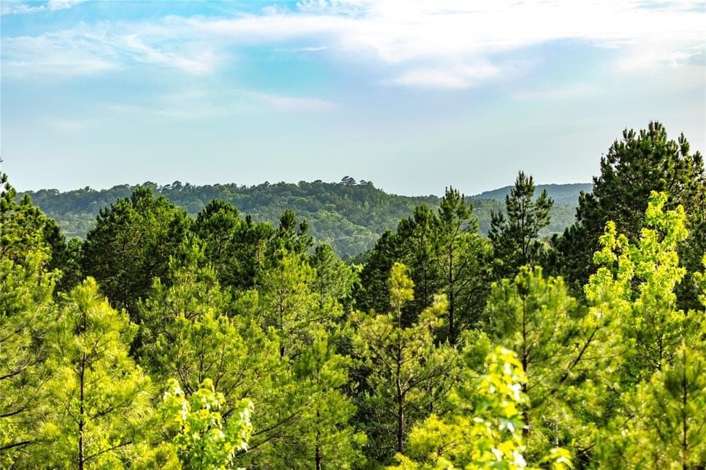 590 acres in Henderson County gallery image 4